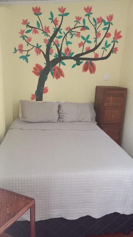 Hostel Sol Da Barra Salvador Eksteriør billede