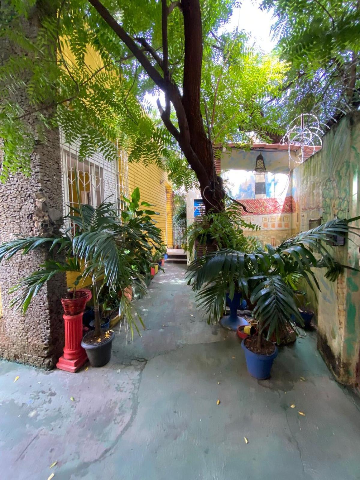 Hostel Sol Da Barra Salvador Eksteriør billede